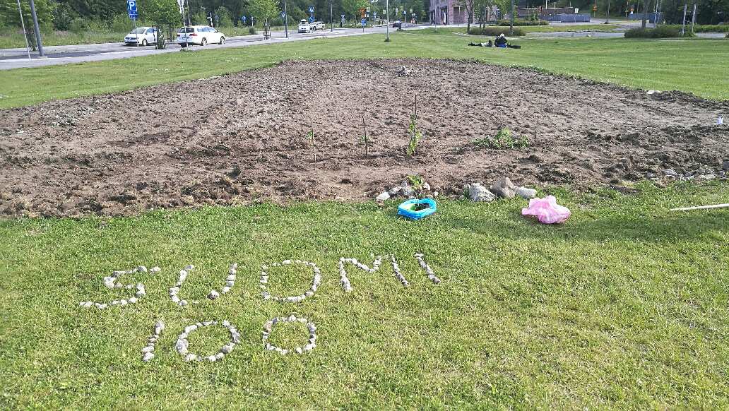 Asukkaiden kukkaniitty alkuvaiheessaan Espoon keskuksessa