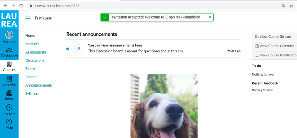 Course front page in Canvas