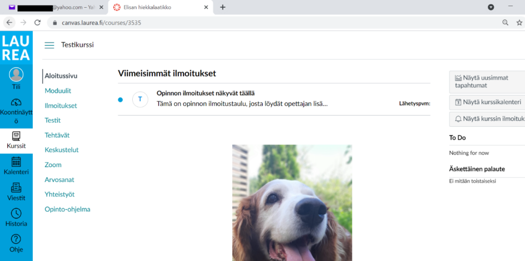 Kurssin etusivu Canvasissa